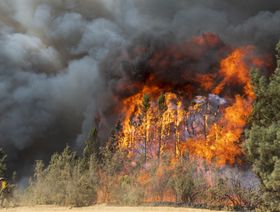 ظواهر مناخية نادرة... الحرائق والحرارة المرتفعة تسود غرب كندا