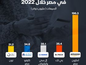إنفوغراف: ما أكبر المتاجر الإلكترونية بيعاً في مصر؟
