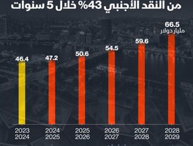 إنفوغراف: 43% ارتفاع متوقع لاحتياطي مصر الأجنبي خلال 5 سنوات