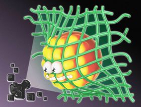 تقنية التعرّف إلى الوجه تمضي قدماً بغض النظر عمّا تقوله "فيسبوك" - المصدر: بلومبرغ