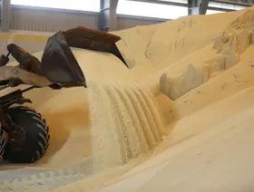 \"شلاتين للثروة المعدنية\" المصرية تدخل مجال الفوسفات من بوابة الصحراء الشرقية