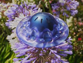 حلمة أرجوانية قزحية اللون - المصدر: بلومبرغ