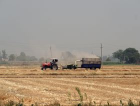 حظر تصدير القمح الهندي يضع المستوردين الآسيويين في \"ورطة\"