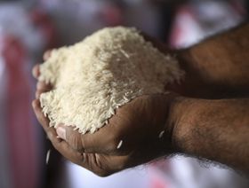 رغم ارتفاع أسعار المحاصيل.. الأرز يخالف الاتجاه في آسيا
