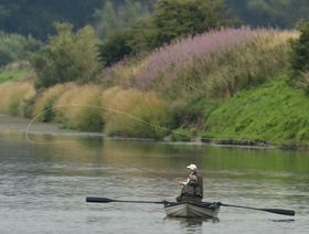 رجل يصطاد في نهر - المصدر: رويترز