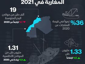 إنفوغراف.. 981 مليون دولار أسماك اصطادها المغاربة في 2021