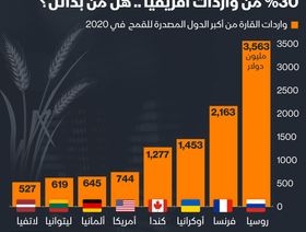 إنفوغراف.. القمح الروسي والأوكراني يشكلان 30% من واردات أفريقيا