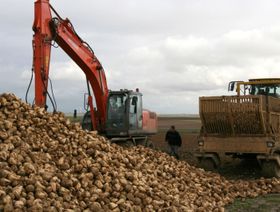 مزارعو السكر في أوروبا يطلبون إعادة تصدير واردات أوكرانيا