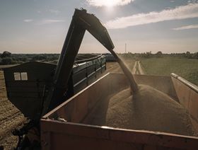 آلة حصاد تقوم بتفريغ الحبوب في مقطورة أثناء حصاد القمح في منطقة فاستيف بمنطقة كييف، أوكرانيا - المصدر: بلومبرغ