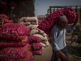 بعد القمح والأرز.. الهند تحظر صادرات البصل