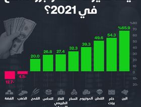 إنفوغراف.. ارتفاعات قوية لأسعار السلع في 2021