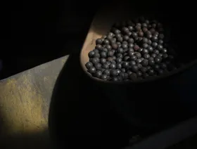 مادة الغرافيت - المصدر: بلومبرغ