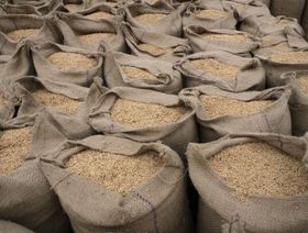 الهند تدرس حظر أغلب صادراتها من الأرز وسط ارتفاع الأسعار محلياً