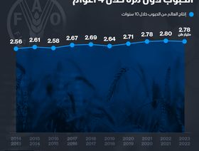 إنفوغراف: \"الفاو\" تتوقع تراجع إنتاج العالم من الحبوب لأول مرة في 4 سنوات