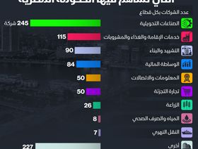 إنفوغراف: 705 شركات تمتلك الحكومة المصرية حصصاً فيها