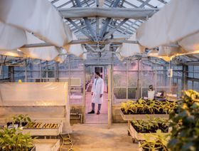 تغير المناخ يطلق سباقاً للبذور المتحورة في الفضاء