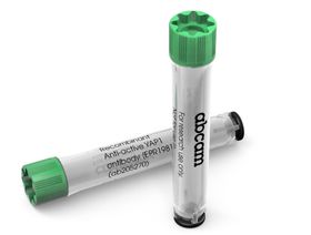 أنبوبان يستخدمان في أبحاث الأجسام المضادة من إنتاج شركة "أبكام" - المصدر: بلومبرغ