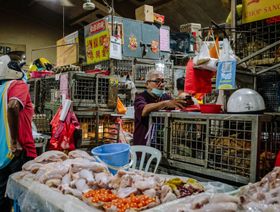 ماليزيا توقف تصدير الدجاج بدءاً من يونيو إثر نقص المعروض
