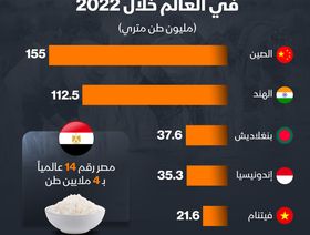 إنفوغراف: مصر بين أكثر دول العالم استهلاكاً للأرز