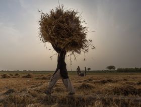 تغير المناخ يتسبب في فقدان خمس نمو الناتج الغذائي العالمي