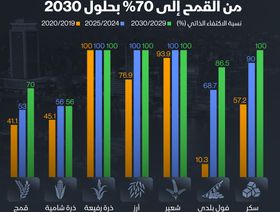 إنفوغراف: مصر تستهدف رفع اكتفائها الذاتي من القمح إلى 70% بحلول 2030