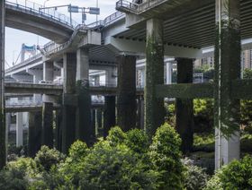 نمو الخضرة على طول أبراج في حديقة إغونغيان، الواقعة تحت تقاطع طريق سريع مرتفع، في مدينة شونغكينغ، في الصين ، يوم الأربعاء، 29 يوليو 2020. - المصدر: بلومبرغ