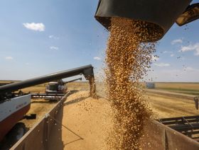 صادرات القمح الهندي تقفز لأعلى مستوياتها على الإطلاق مستفيدة من حرب أوكرانيا