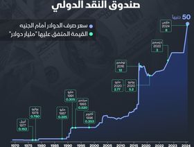 إنفوغراف: تأثير قروض صندوق النقد الدولي على سعر صرف الجنيه المصري