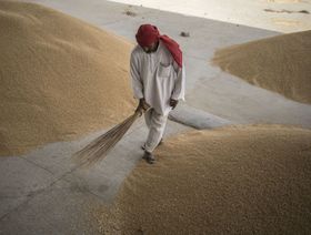 عامل يكنس منطقة بالقرب من أكوام القمح في سوق الجملة في منطقة ناريلا في نيودلهي في 22 مايو 2022. الهند - المصدر: بلومبرغ