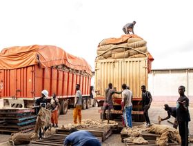 عمال يُحمّلون أكياس الكاكاو في شاحنة لنقلها إلى الموانئ،  - المصدر: بلومبرغ