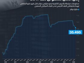 إنفوغراف.. احتياطي مصر من النقد الأجنبي يهبط لأدنى مستوى في 5 سنوات