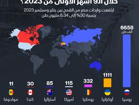 إنفوغراف: 30% ارتفاع في واردات مصر من القمح في أول 9 أشهر من 2023