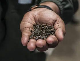 البنتاغون يسعى لشراء أطنان من الكوبالت لأول مرة منذ الحرب الباردة