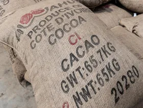 كيس من حبوب الكاكاو المعالجة في مصنع معالجة بمدينة أبيدجان، ساحل العاج. - بلومبرغ
