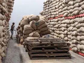 عامل ينظف حبوب الكاكاو المتساقطة في مصنع لمعالجة الكاكاو في أبيدجان، ساحل العاج - بلومبرغ