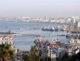 \"السويدي\" المصرية تستثمر 2.5 مليار دولار بمشاريع جديدة في الجزائر