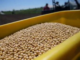 إيطاليا تزيد وارداتها من فول الصويا الأميركي لإعادة التوازن التجاري