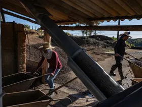 عاملان يغسلان ويجففان ثمار البن بعد الحصاد في جاكوتينغا، البرازيل - بلومبرغ