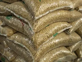 أكياس فول الصويا في سوق الجملة للحبوب في شنغهاي، الصين - بلومبرغ