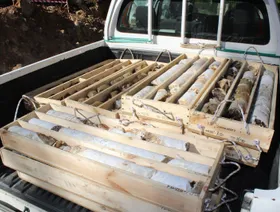 عينات من صخور البيغماتيت محملة على متن شاحنة في مشروع "باروسو" لليثيوم التابع لشركة "سافانا ريسورسيز"- المصدر: "سافانا ريسورسيز" - بلومبرغ