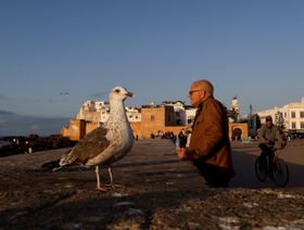 هل يحقق المغرب \"ريمونتادا\" اقتصادية في 2025 بفضل المونديال؟