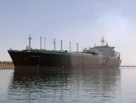 مصر تحتاج إلى 60 شحنة غاز مسال لمحطات الكهرباء هذا الصيف