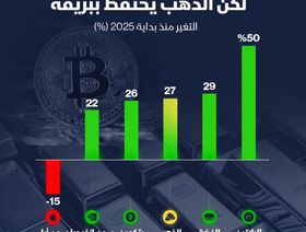 مقارنة نسبة ارتفاع أسعار أصول مختلفة منذ بداية العام - الشرق