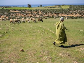 المغرب يقر خطة عاجلة بـ742 مليون دولار لدعم قطاع الزراعة