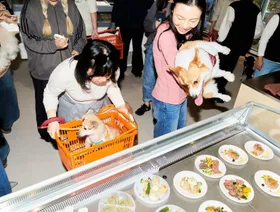 الصينيون يدللون الحيوانات الأليفة مع عزوفهم عن الإنجاب