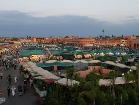 اقتصاد المغرب ينمو بأسرع وتيرة فصلية في نحو 4 سنوات بدعم أنشطة الزراعة