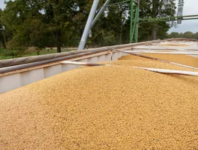 الصين تشتري أولى شحنات فول الصويا الأميركي هذا الموسم