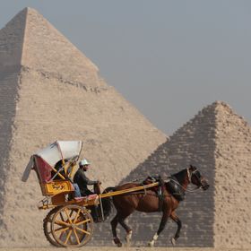 سائح يركب عربة يجرها حصان أمام هضبة الأهرامات في الجيزة - المصدر: بلومبرغ
