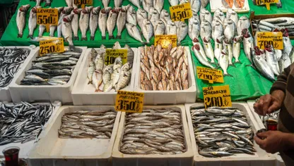 أسعار الأسماك في أحد الأسواق اليونانية - بلومبرغ