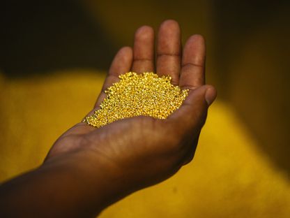 عامل يحمل حفنة من حبيبات الذهب  - المصدر: بلومبرغ